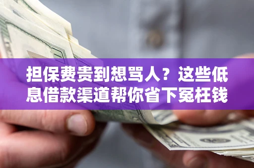 济南担保费贵到想骂人？这些低息借款渠道帮你省下冤枉钱